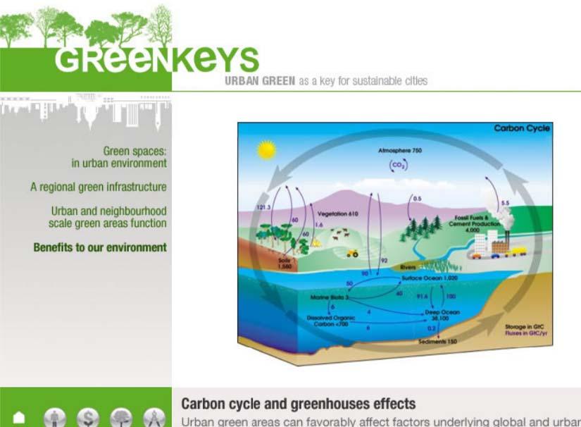 Wert der Wälder und Parks als CO2-Senke? www.greenkeys.