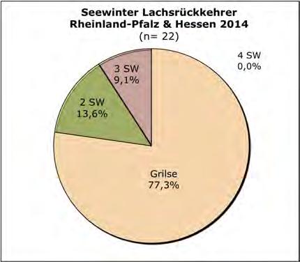 Grilse (1-SW-Lachse) sind normalerweise mehrheitlich männlich und kleiner als 78 cm, die Rogner überwiegen bei den großen MSW-Lachsen (vgl. Abb.