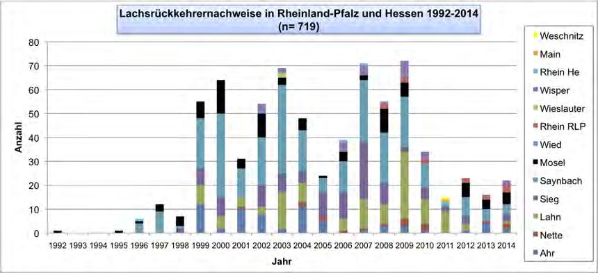 Entwicklung der Rückkehrerzahlen in Hessen und Rheinland-Pfalz Die Gesamtnachweise in Hessen und Rheinland-Pfalz (1992-2014) belaufen sich mit