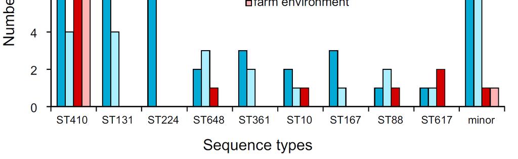Analyse von CTX-M-15-prod. E. coli verschiedenen Ursprungs 97 E.