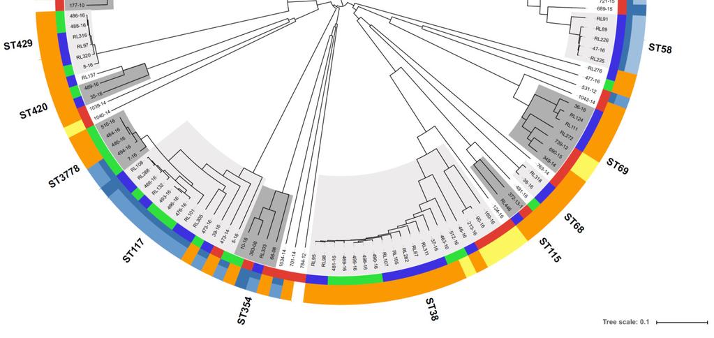 Plasmidtypen in E.