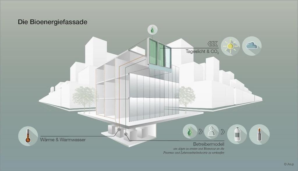Die Bioenergiefassade nutzt das Sonnenlicht, um Wärme und Biomasse zu produzieren.