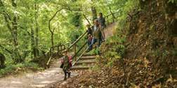 Von dort hat man eine grandiose Sicht auf Loffenau und einen Rundumblick auf die Hausberge, in deren Tal das Dorf eingebettet liegt.