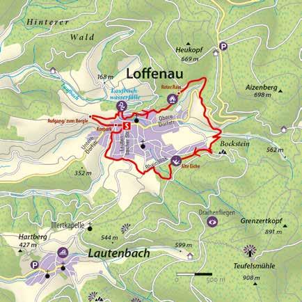 Die Route passiert den Landeplatz der Gleitschirm- und Drachenflieger, bevor sie nach links abbiegt und am Waldrand entlang oberhalb des Rheinblicks Richtung Zwergenwäldle führt.