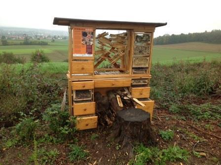 ber teilte uns das Forstamt den neuen Standort der Bienenstation am ehemaligen Hainhofer Wald mit.