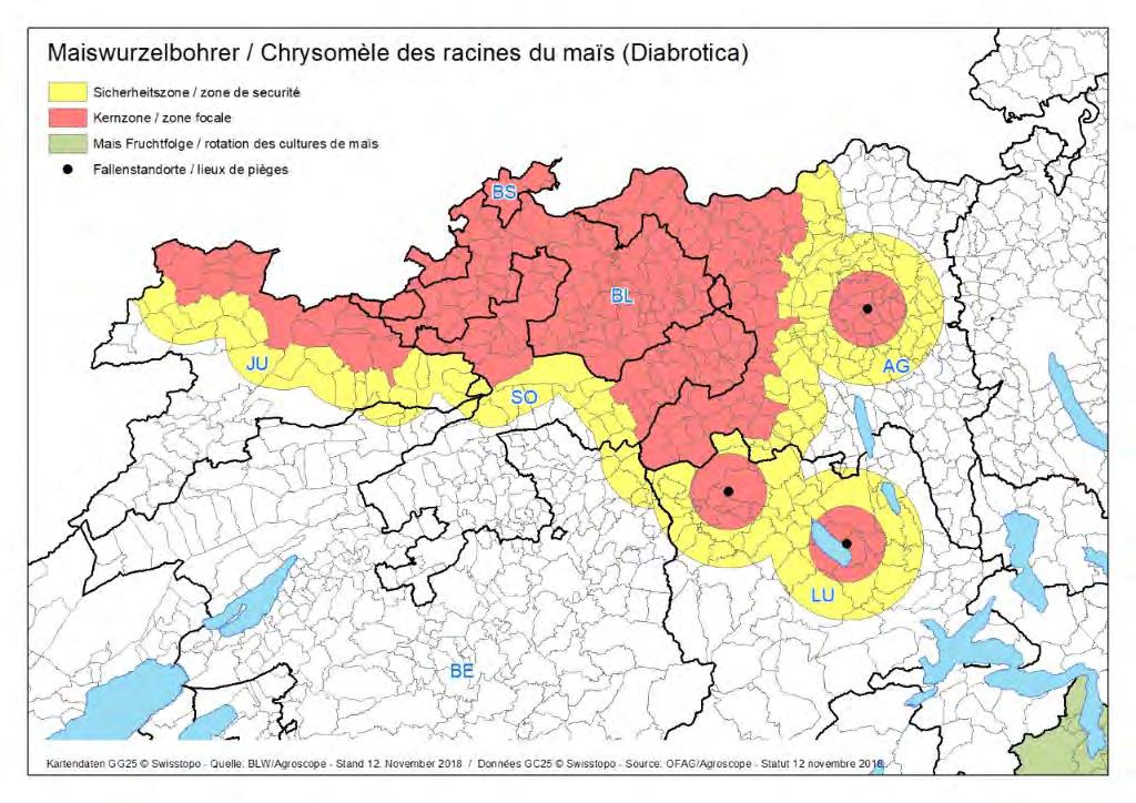 Situation Nordwestschweiz 2018 8 Fallen, 93 gefangene Käfer (BL und BS 14 Fallen > 1000) Informationsablauf im AG Jeder betroffene Produzent wurde angeschrieben