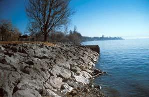 Durchgängigkeit natürlicher Fels, keine Verbauung Bericht Nr. 55a: Limnologische Bewertung der Ufer- und Flachwasserzone des Bodensees.