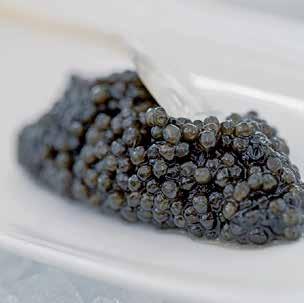 GENUSS DES KAVIARS Frischer Kaviar kann original verschlossen und gekühlt bei maximal +2 C bis zu 2 Monaten aufbewahrt werden (individuelle Angabe auf der Dose). Den Kaviar ca.