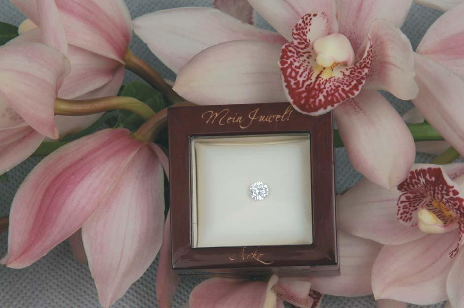 Ihr Juwel more than a Diamond Durch die Firma Semper Fides wird einem die Möglichkeit gegeben, seinen treuen Kameraden immer bei sich zu haben in Form eines Diamanten.