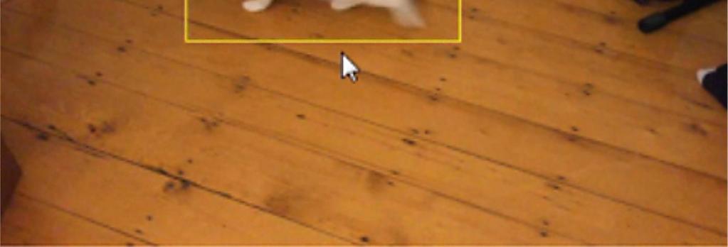 kfoldLoss) Der svmmdl-klassifizierer soll jetzt ein Bild als Katze oder Hund klassifizieren (Abbildung 4). Abbildung 4.