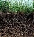 Der weltweite Verlust von fertilen Böden ist enorm: Er beträgt jährlich 5-7 Mio.