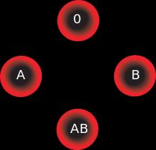 ABO- Blutgruppe der PatientIn Isoagglutine der PatientIn O Anti A (α) Anti B (β) O A Anti B (β) A und O B Anti A (α) B und O ABO-Blutgruppe von kompatiblen Erythrozytenkonzentraten AB keine AB, A, B