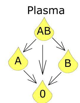 4. Indikationsstellung und Transfusionstrigger für die Transfusion von Plasma Das folgende Schema zeigt, welche Plasmakonzentrate für welche Empfänger im ABO-System kompatibel sind und transfundiert