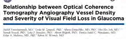 Neue Diagnostikmöglichkeiten mittels OCT Angiographie: Glaukom 1