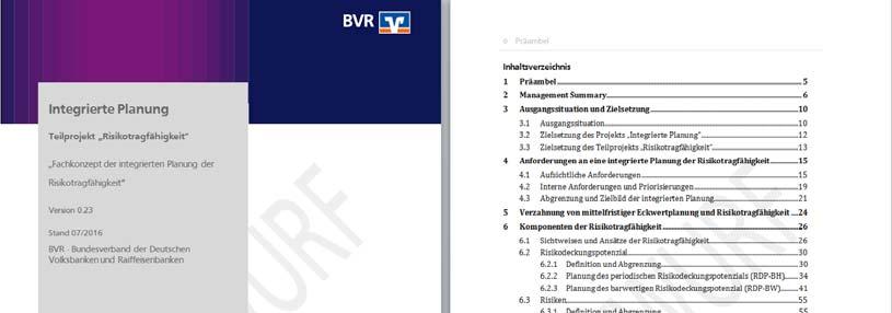 Fachkonzept der integrierten Planung der Risikotragfähigkeit Baden-Württembergischer Genossenschaftsverband e. V.