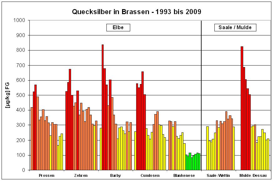 Die Quecksilbergehalte der Brassen der Elbe und der Mulde zeigen ab 1993 einen deutlich rückläufigen Trend der Quecksilberkonzentrationen mit einem Faktor zwei bis drei (siehe Abbildung 4).