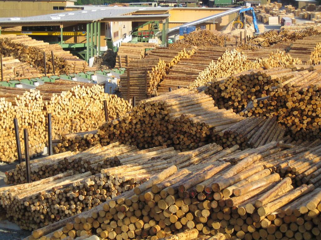 Schnittholz Sägespäne 60% 10 % Holzpellets Spanplatte Hackgut 30 % OSB, MDF Zellstoff Ru