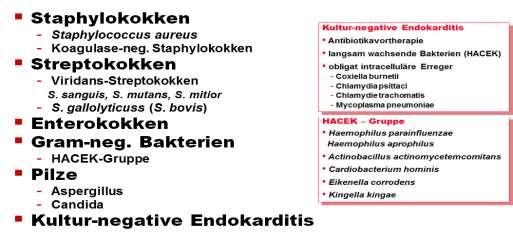 Endokarditis Naber,
