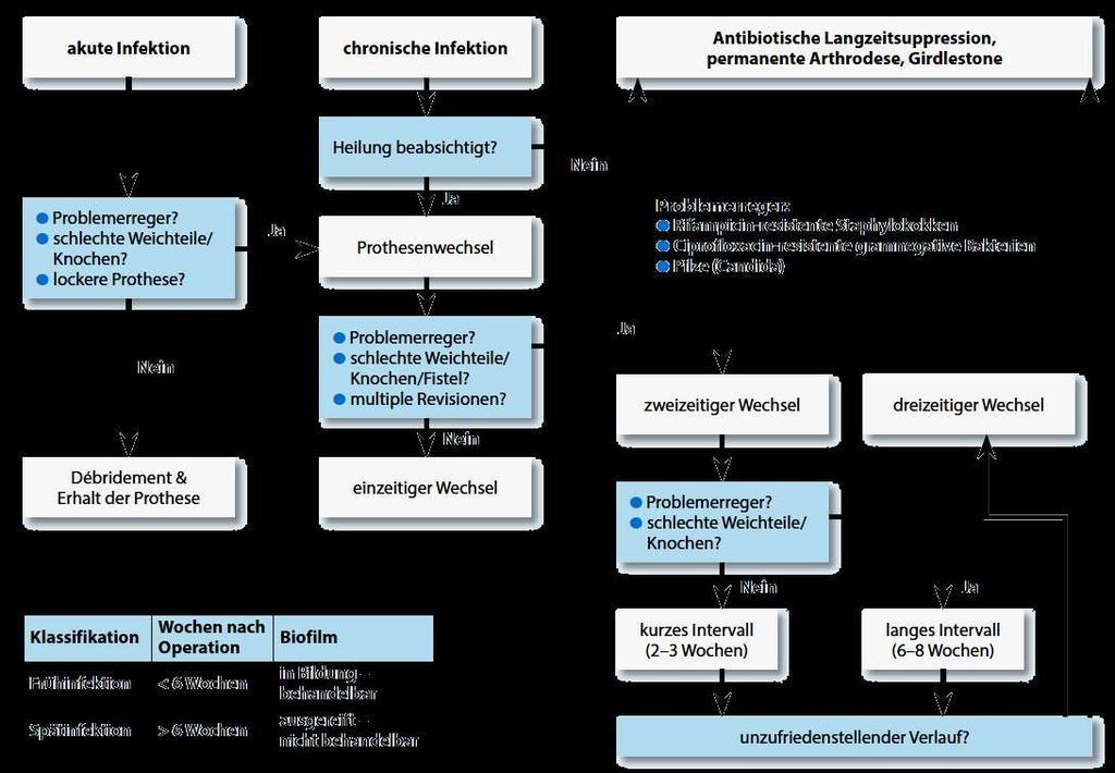 Protheseninfektionen adaptiert nach Kleber, Chirurg