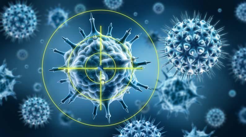 Was ist eine Immunschwäche? Ein gesundes Immunsystem bekämpft Bakterien, Viren und andere Erreger, die Infektionen hervorrufen können.