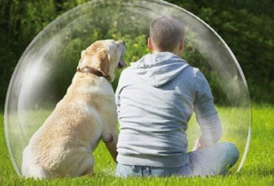 Tierhalter-Haftpflichtversicherung (Hunde & Pferde) Die Tierhalter-Haftpflichtversicherung ist