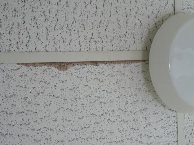Raum: Raumnutzung Decke Boden Wände Geruch Toilette Herren (rechts) WC Kassettendecke mit KMF Auflage, die
