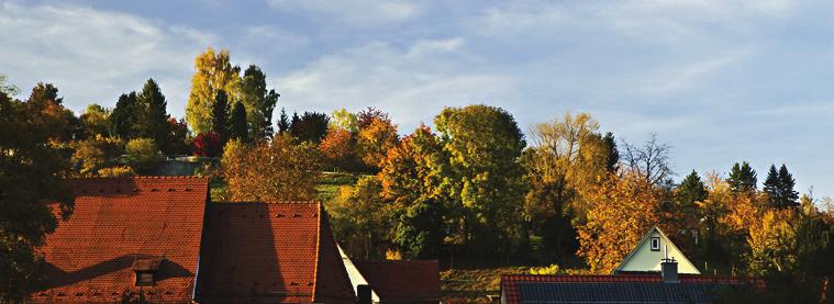 Rohracker ist mit seinem idyllischen Charakter und den umliegenden grünen Hängen ein idealer Wohnort für Liebhaber