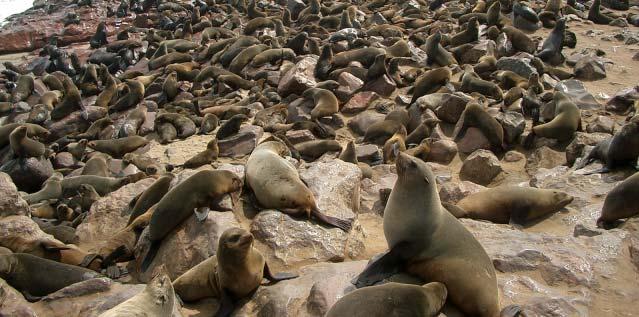 Swakopmund ist ein beliebter Badeort an der Atlantikküste, der mit seinen zahlreichen
