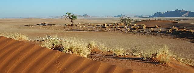 Tag: Namib Wüste F/M/A Zeltcamp Die Fahrt führt in den Namib-Naukluft-Park, das bedeutet