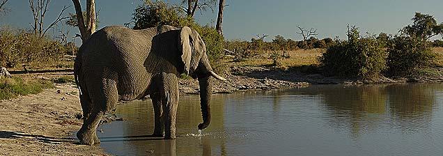 Okavango Delta.