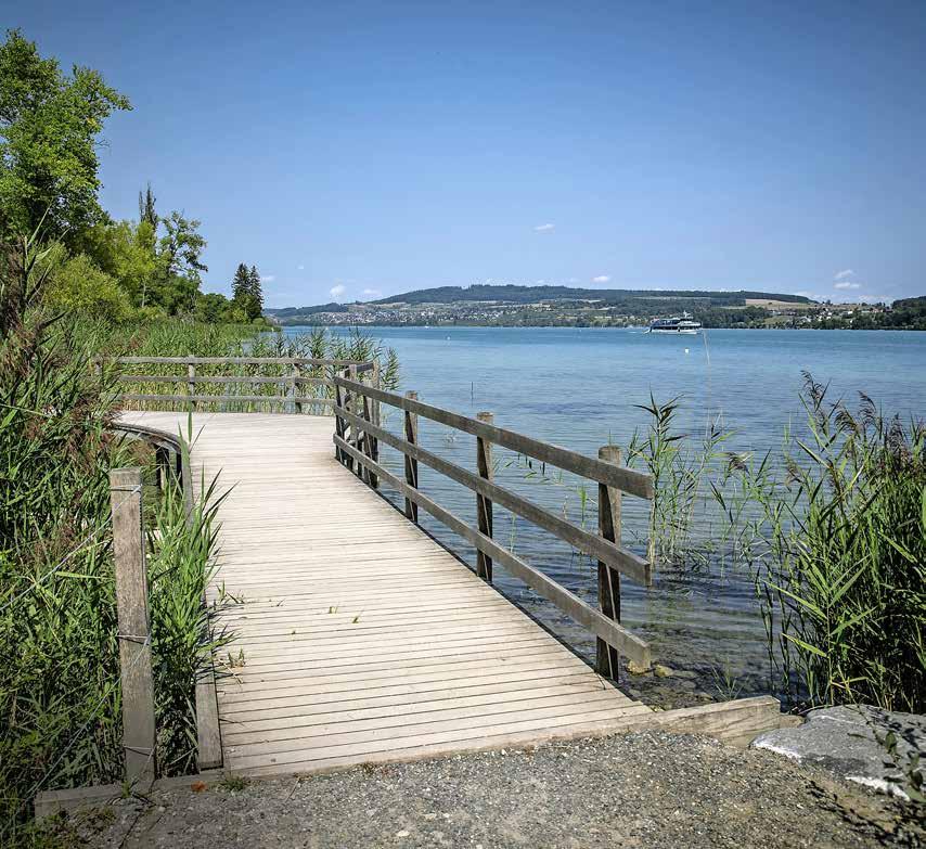 6 Thema Laut Dekret aus den 80er-Jahren muss der Uferweg am Hallwilersee öffentlich bleiben. Die Ufer 9 Seen im Check: Welche Seeufer sind öffentlich zugänglich?