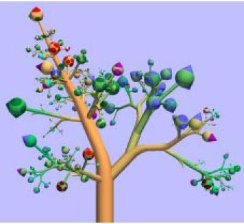 Punkte zu erkennen (mit Maximum-Likelihood, etc ). FastDNAmlviewer [Carrizo 2004] stellt die verschiedenen Bäume in drei Dimensionen dar und ermöglicht interaktive Vergleiche.