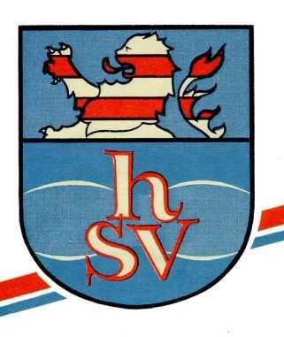 Hessischer Schwimmverband e.v. Ausrichter: Wfr.