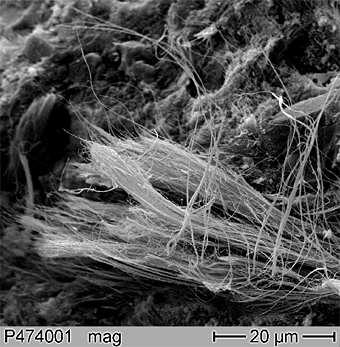 Haar (d ~ 40 μm) Asbestfasern (d ~ 0.