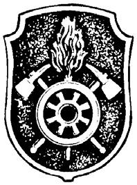 2. Kragen- und Mützenabzeichen Ausführung und 28 mm Feuerwehrwappen als Metallschild mit der Darstellung des Feuerwehrsymbols; Farbe 38 mm altsilber, matt, für Feuerwehranwärter bis Hauptlöschmeister