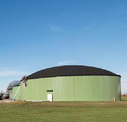 Vermarktung Biogas Wirtschaftliche Perspektive