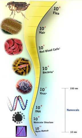 2. Was ist Nanomedizin? Die Größe macht einen Unterschied!
