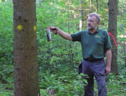 Unsere Aufgaben und Leistungen Dienstleistungen für den Körperschafts- und Privatwald Auf vertraglicher Basis übernehmen wir im Körperschaftsund Privatwald die Waldbewirtschaftung und informieren