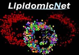 Hintergrund-Information, 2. September 2009 LipidomicNet: EU fördert Lipidforschung LipidomicNet ist eine internationale Initiative zur Stärkung der Lipidforschung in Europa.
