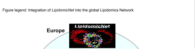 LipidomicNet kooperiert eng mit der NIH (National Institutes of Health)-Initiative LIPID MAPS in den USA (www.lipidmaps.org) und dem japanischem Pendant Lipidbank (www.lipidbank.