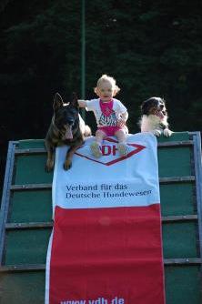 Tag des Hundes 2016 Bundesweit 403 (Vorjahr: 337)
