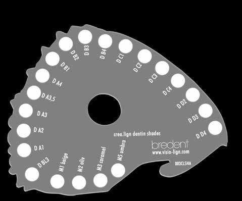 paint Malfarben hochästhetische transluzente Charakterisierungen - das perfekte Komposit-Verblendmaterial für allerhöchste Ansprüche. Gel Dentin / Modifier Die crea.