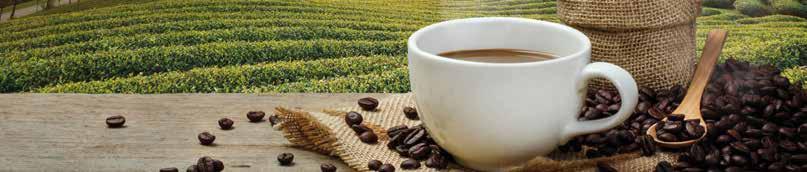 Wählen Sie aus verschiedenen Kaffeesorten: Milchkaffee Latte Macchiato Cappuccino Kaffee