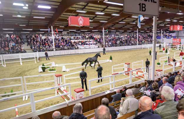 Europas Nr.1 Europe s No. 1 Mehr als 700 Pferdesport- und -zuchtveranstaltungen pro Jahr More than 700 Equestrian Sport and Breeding Events per year 78.000 Stunden Archivmaterial 78.