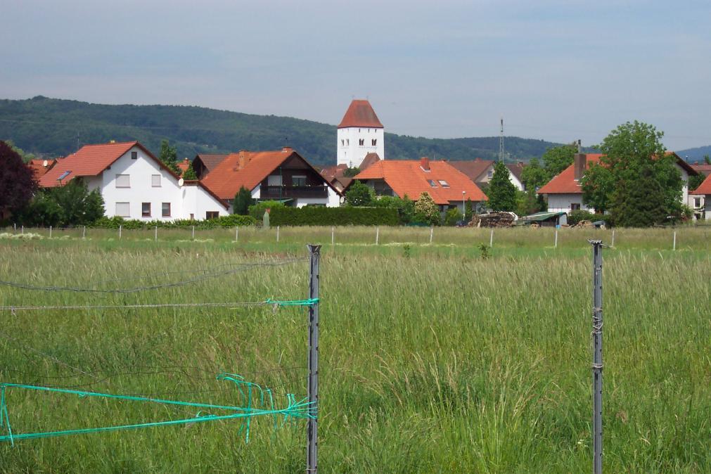 Niederkirchen seit mehr als 1300 Jahren Niederkirchen 699 erwähnt in einer Urkunde des Klosters Weißenburg Niederkirchen im Hohen Mittelalter von