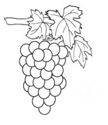 Roséweine 0,75l Italien 2016 Rosa dei Frati 39.00 (Groppello, Marzemino, Sangiovese, Barbera) Cà dei Frati Lombardei Frankreich 2015/16 Rosé Côtes de Provence Cuvée Prestige 59.