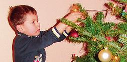 verzeichnen. Besonders gefährlich kann auch das Schmücken des Weihnachtsbaumes werden.