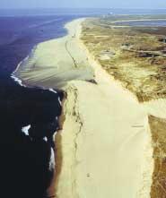 3,33 Mio. m 3 Sand für etwa 12 Mio. A aufgespült (Anl. 9b). Der Schutz der Westküste von Sylt durch Sandaufspülungen und Begleitmaßnahmen ist mit hohen Ausgaben verbunden.