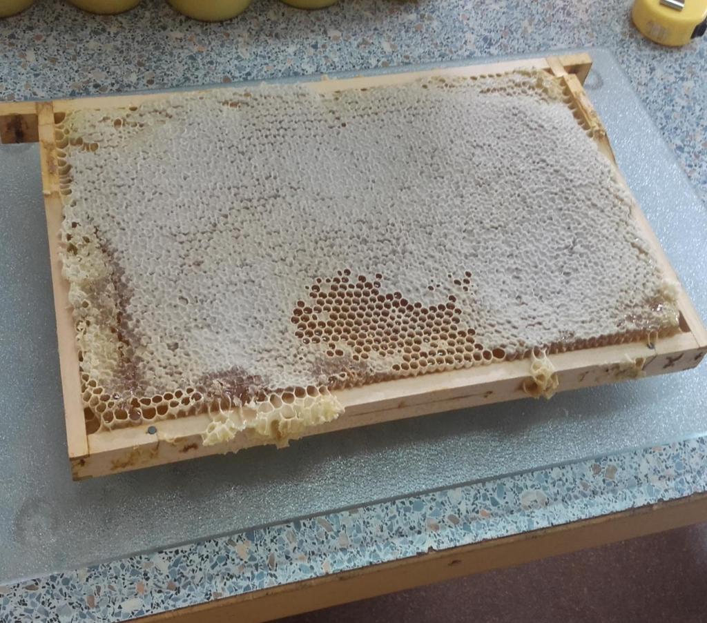 Wabenhonig Rückstände besonders bei der Waben- Honigproduktion bedenklich!