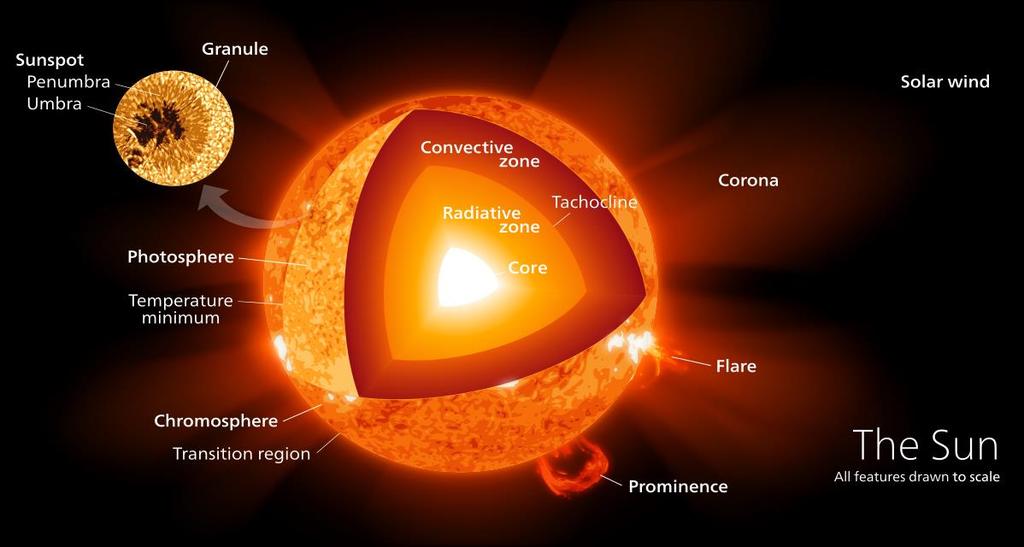Die Sonne Hauptreihenstern der Spektralklasse G2V M ʘ = 1.99 x 10 30 kg (= 99.8 % der Masse des Sonnensystems) R ʘ = 6.96 x 10 8 m ρ ʘ = 1.